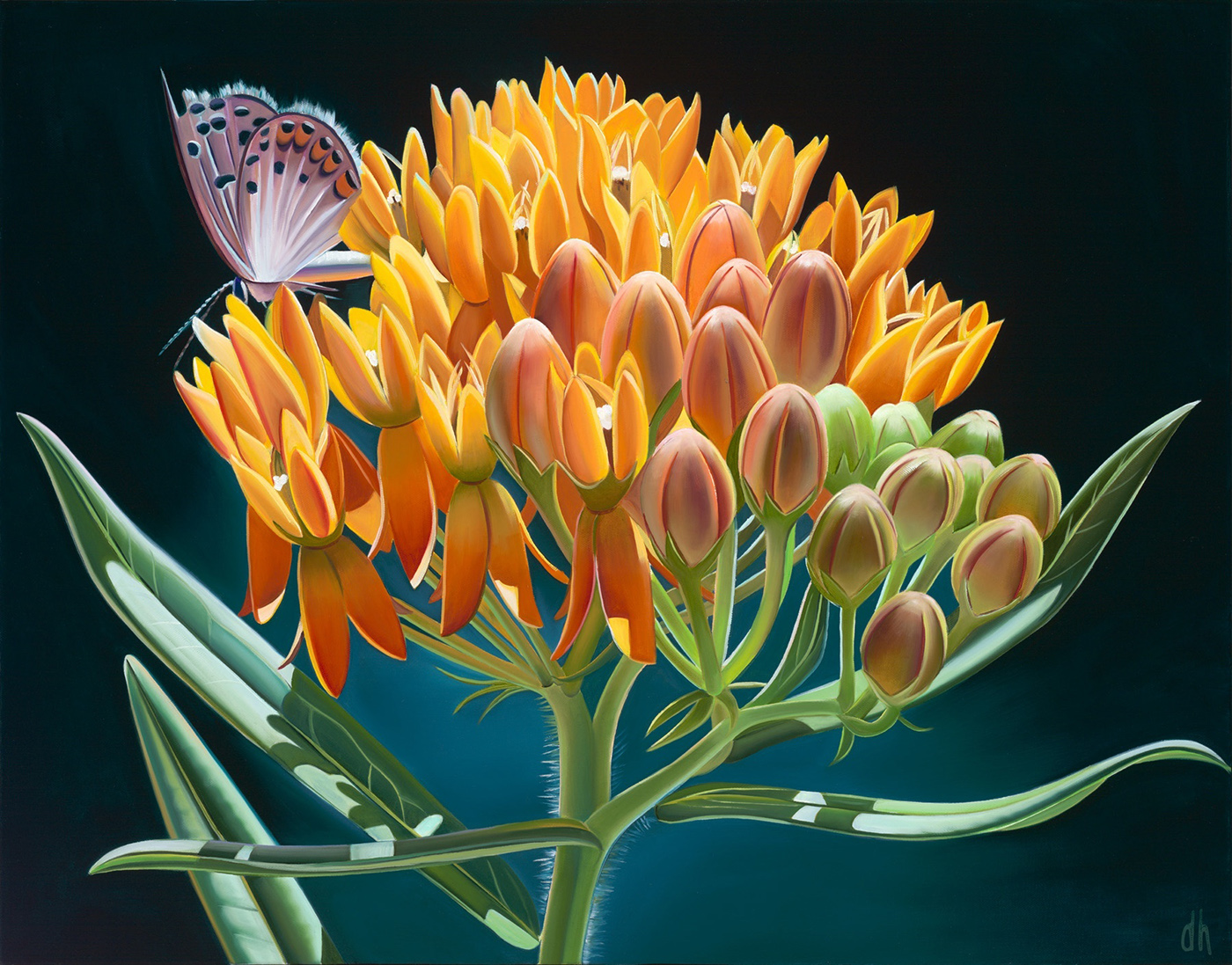 oil on canvas with butterfly on flower; dark background