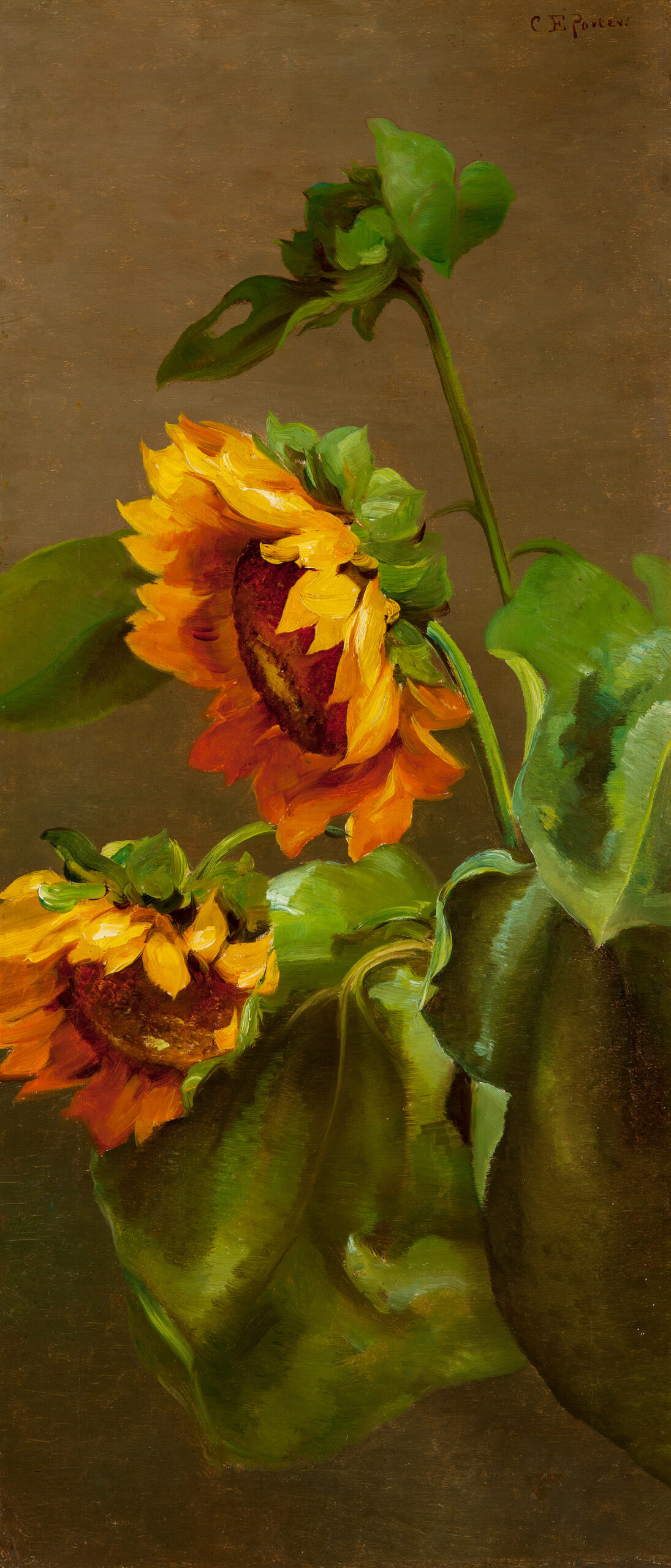 American art - Charles Ethan Porter (American, 1847-1923). Sunflowers, circa 1880s, oil on linen canvas. Courtesy of the Thomas H. and Diane DeMell Jacobsen PhD Foundation. 